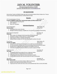 Leadership Letter Of Template Examples Letter Template