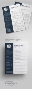 Sample Resume In Ppt Format Good Resume Examples