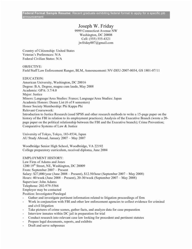 Federal Resume Builder Examples