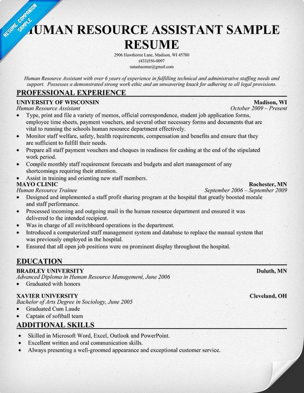 Human Resources Resume Examples Free