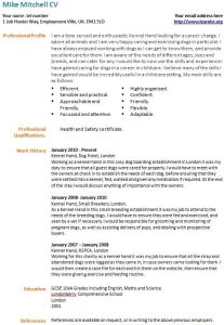 Career Change CV Example Template