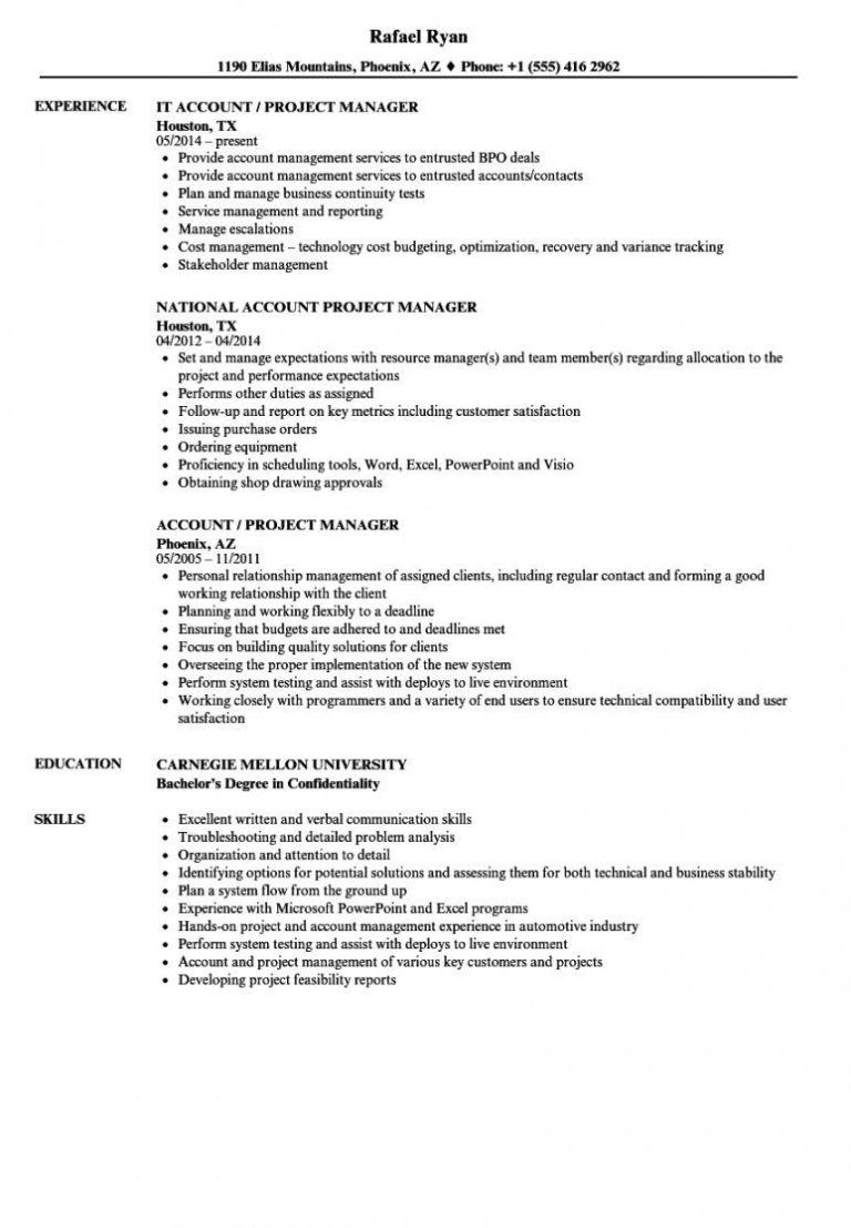 National Account Manager Cv Examples
