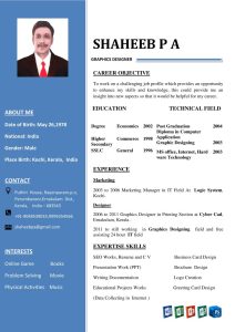 Resume & CV Different Type Each Page 1 for 1 SEOClerks