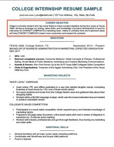 Resume Objective Examples for Students and Professionals