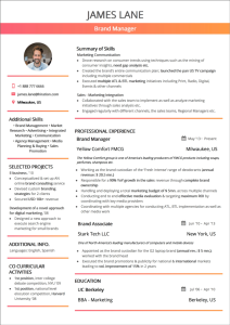 Combination Resume The 2020 Guide to Combination Resumes
