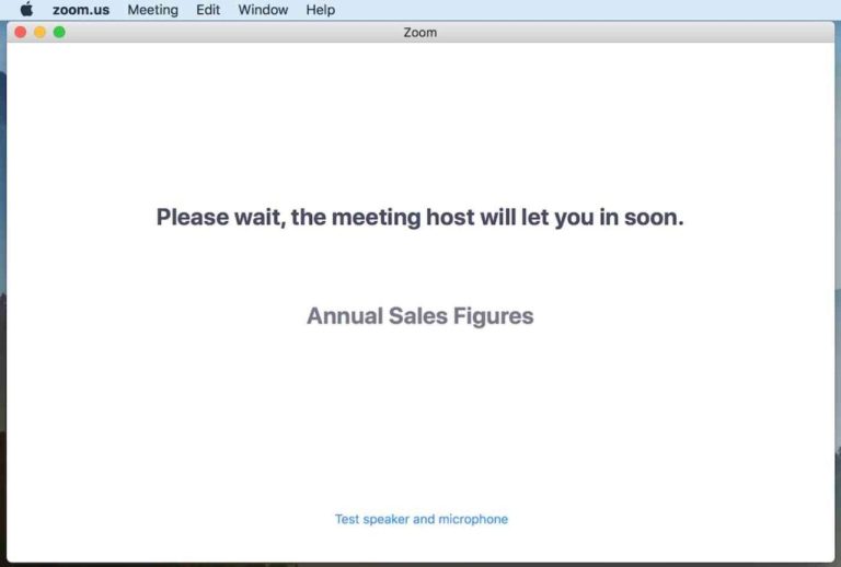 What Does Waiting For The Host To Start A Zoom Meeting