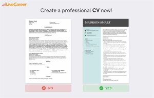 Marketing Cv Examples No Experience / How To Write A Resume With No