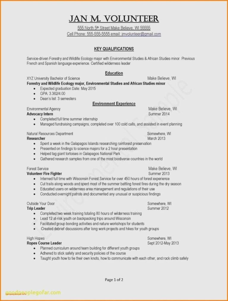 Nanny Resume Template Download