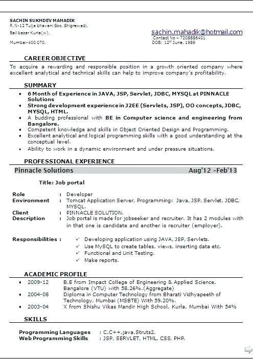 Sample Resume For Experienced Java Software Engineer