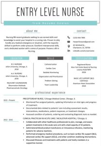 Create Nursing Resume Templates and Presenting Yourself Look
