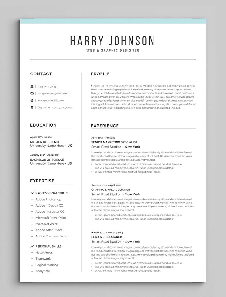 Resume Template CV Template Professional Resume Template Resume