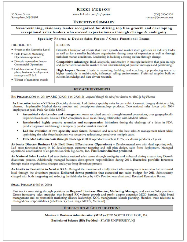Examples Of An Executive Summary For A Resume