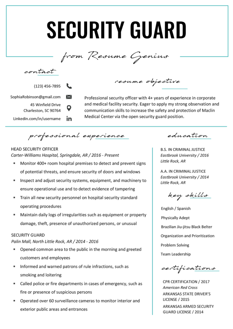 Security Officer Resume Samples India