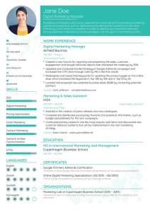 The Best Ideas for Resume Styles 2019 Best resume format, Marketing