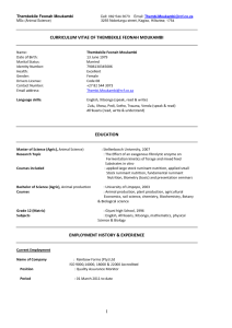 Professional Cv Format South Africa Best Modern CV/ Resume Templates