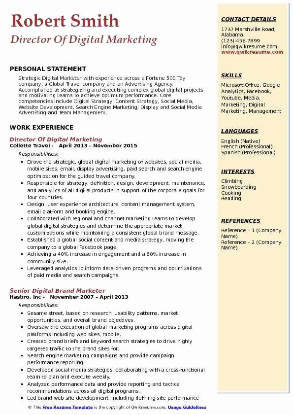 Business Intelligence And Analytics Resume