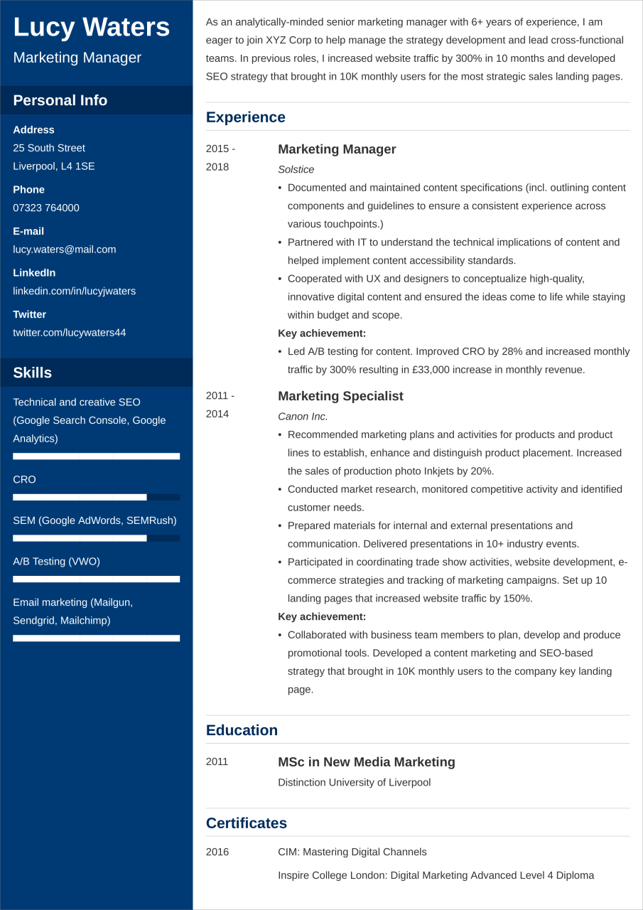 How To Write A Curriculum Vitae Format