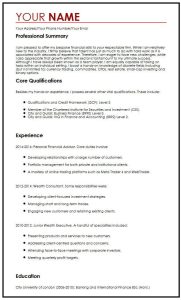 Professional CV Example MyPerfectCV