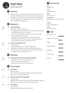 Programmer Resume—Examples and 25+ Writing Tips