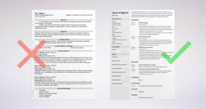 Best Project Manager Resume Examples 2021 [Template & Guide]