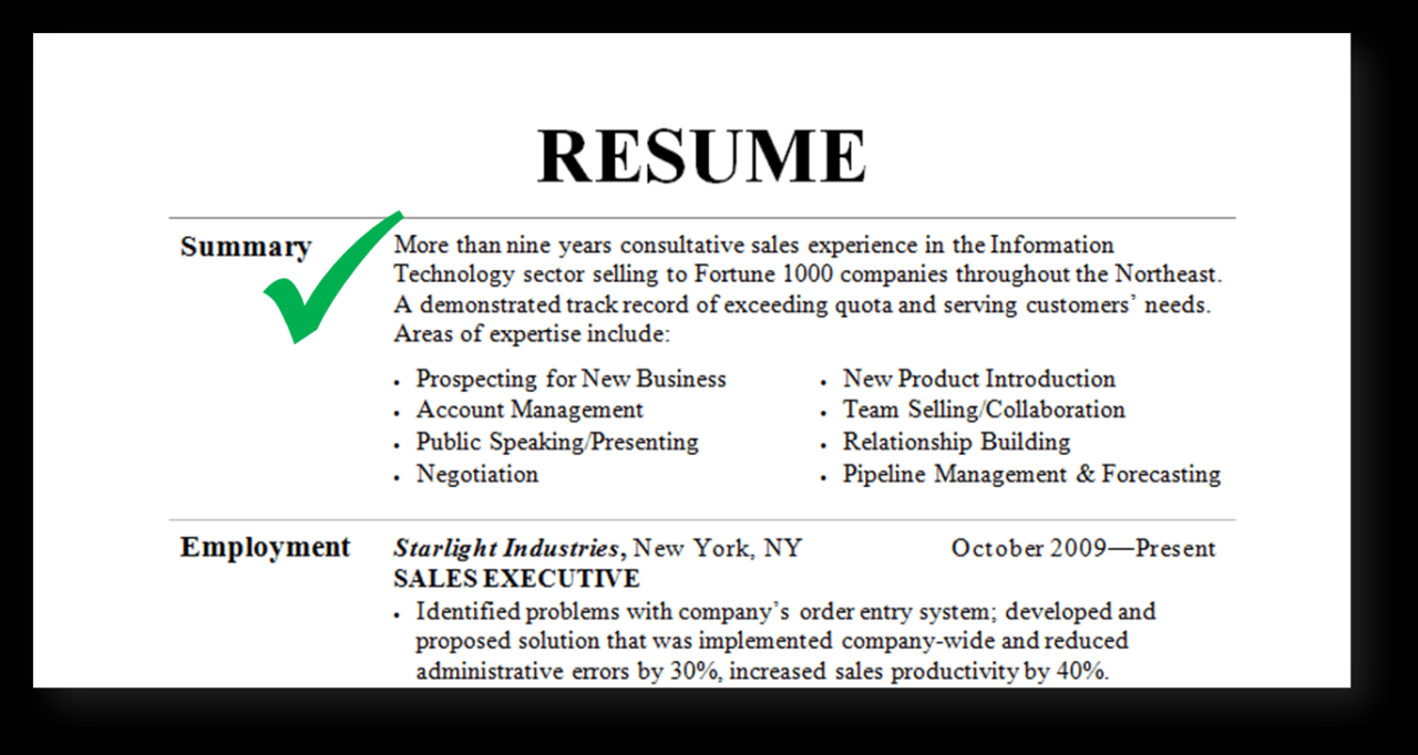 How To Write Profile Summary In Resume Examples
