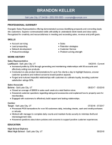 Download 19+ Resume Professional Summary Free Samples , Examples