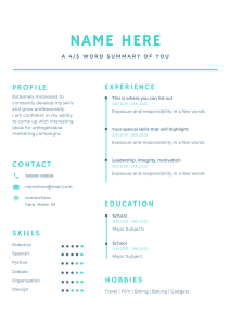 How to make a compelling College Resume / Student CV