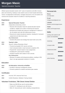 Special Education Teacher Resume—Examples and 25+ Tips