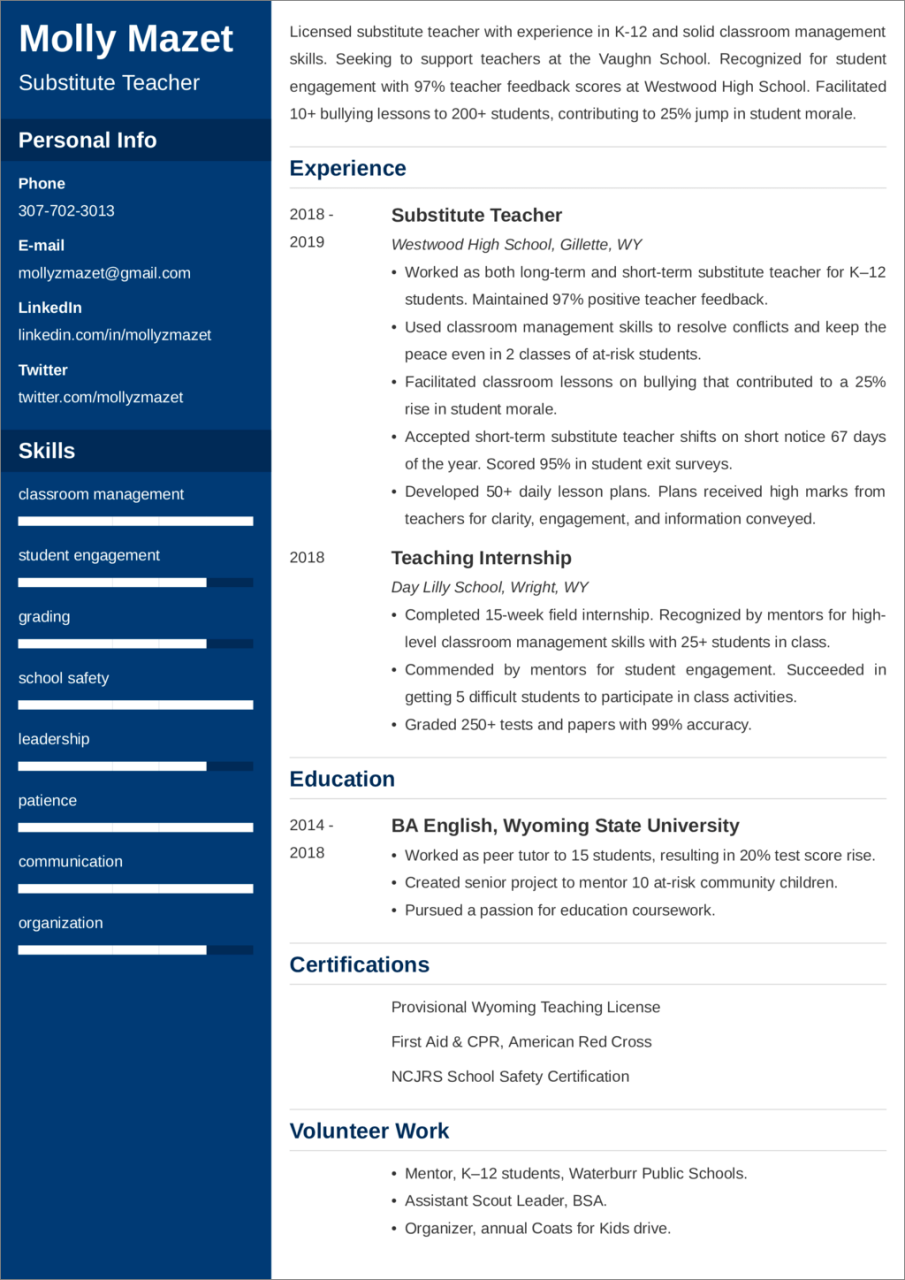 Substitute Teacher Resume—Examples and 25+ Writing Tips