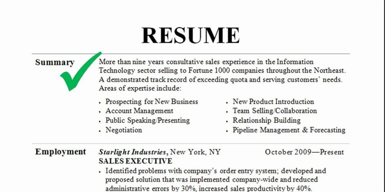 How To Write A Job Summary For Resume