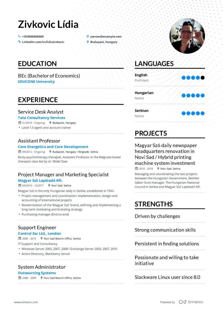 Information Technology Resume Examples 2019