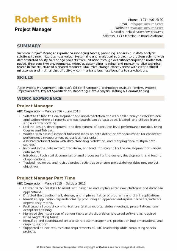 Technical Project Manager Resume Summary