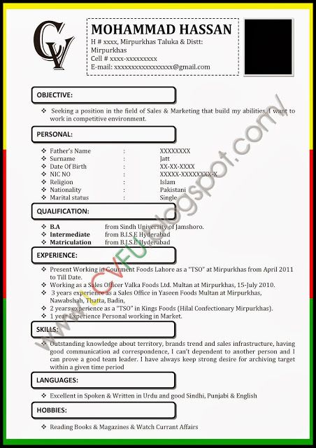 Cv Sample For Job Application In Pakistan