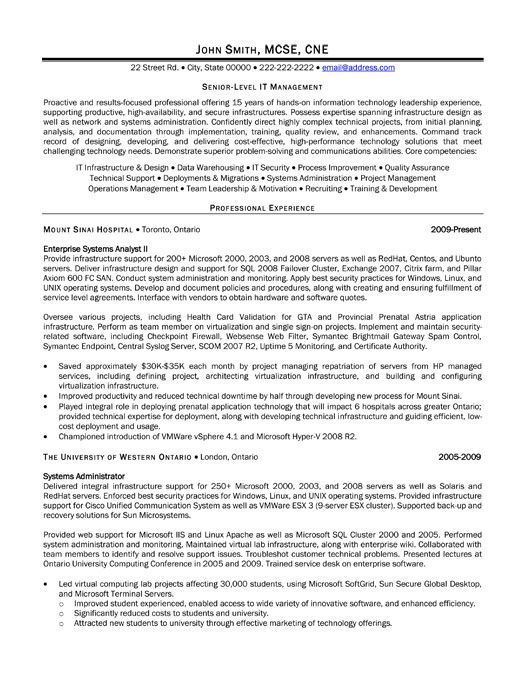 Technology Manager Resume Examples