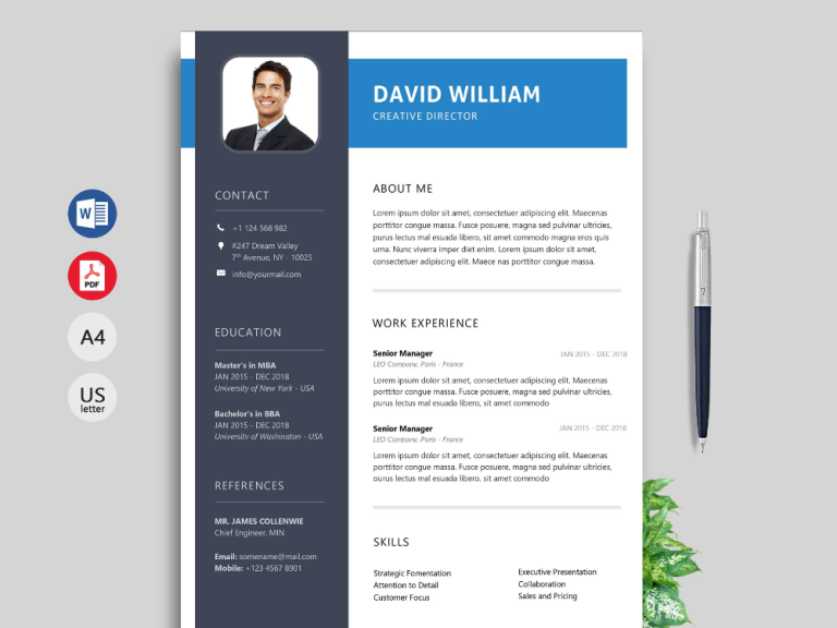 Professional Cv Format 2020 Free Download