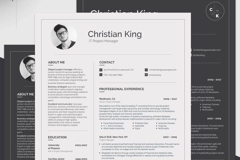 Project Manager Resume Template Download
