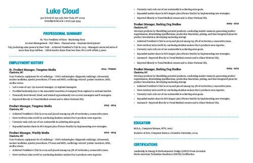 Perfect Cv Layout Examples
