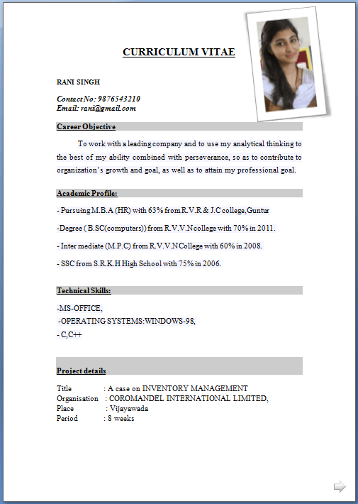 Best Cv Samples 2019 Pdf