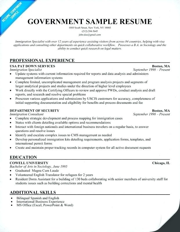 Resume Format Examples 2020