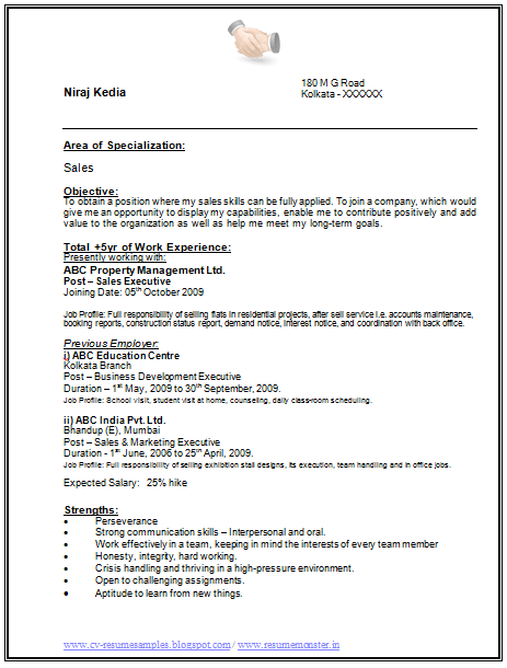 Area Sales Manager Cv Sample In India