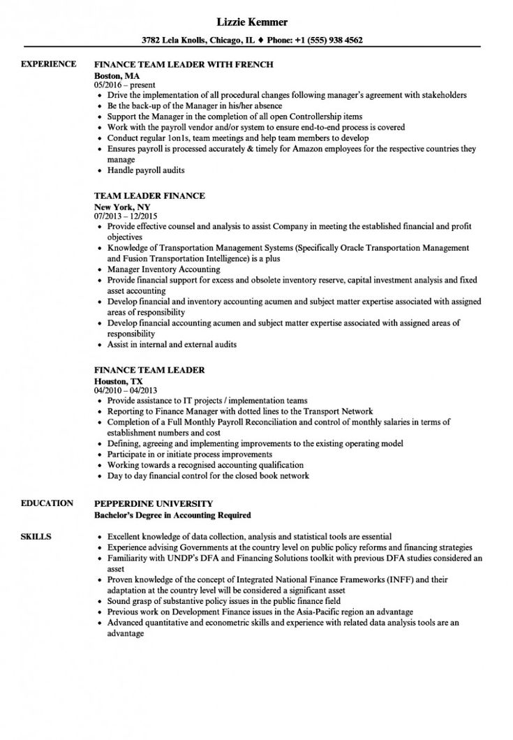 Resume Objective For Team Leader Position in 2021 Examples of