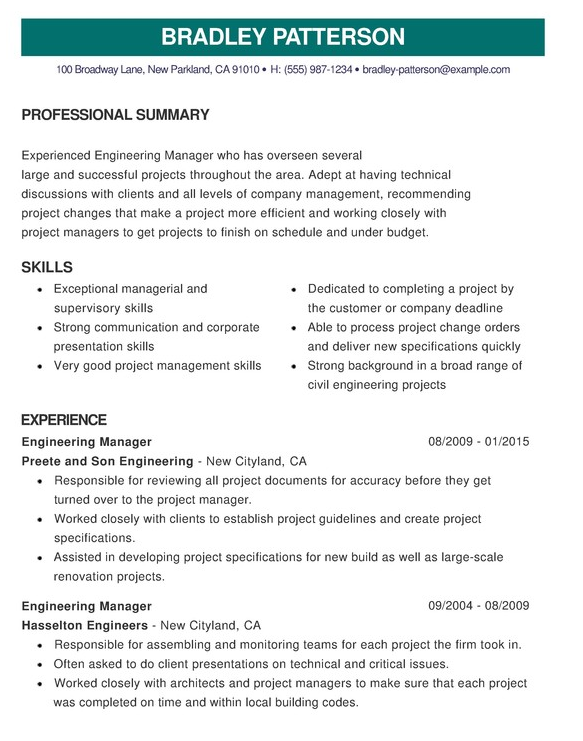 Example Of A Excellent Cv