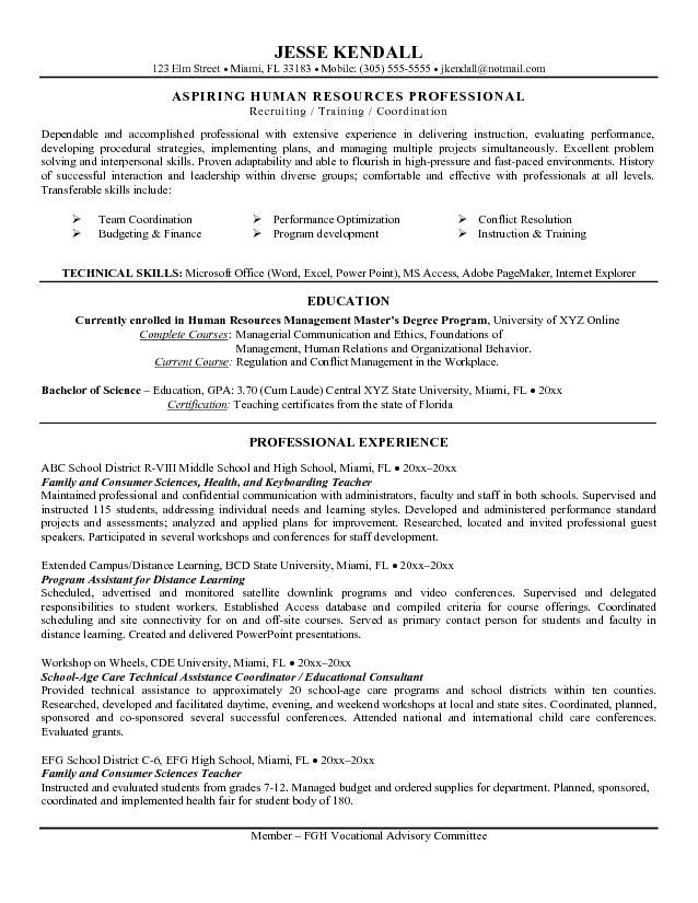Professional Summary Resume Sample For Teachers