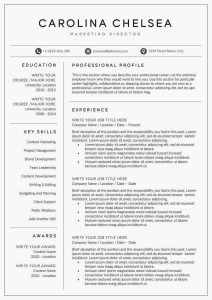 10 Important CV Tips in 2020 Professional resume examples, Cover