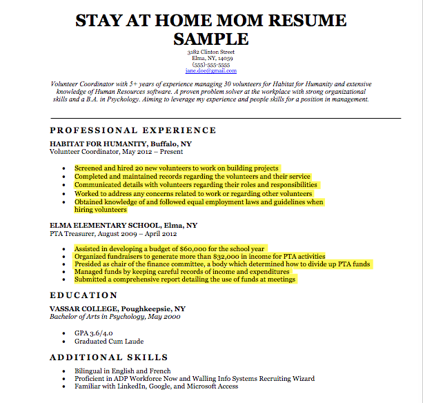 Stay At Home Mom Resume Examples