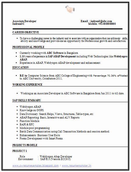 1 Year Experience Resume Format For Software Developer Download