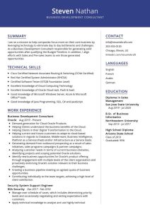 Business Development Consultant CV Sample ResumeKraft