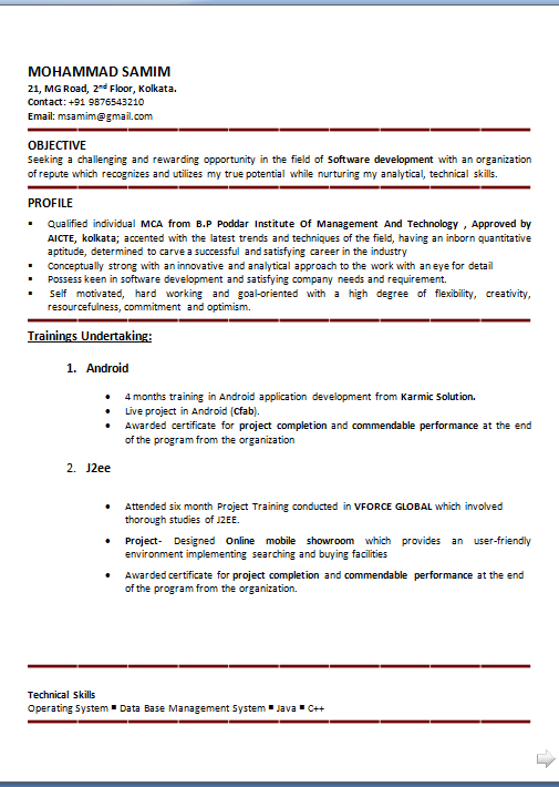 writing personal statement for cv Resume