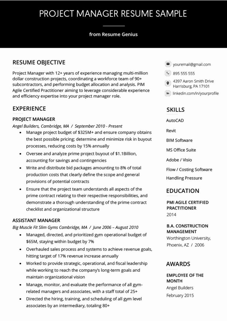 Project Manager Cv Sample Doc