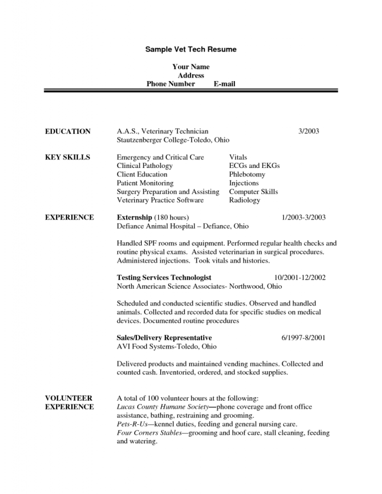 Tech Resume Examples 2020